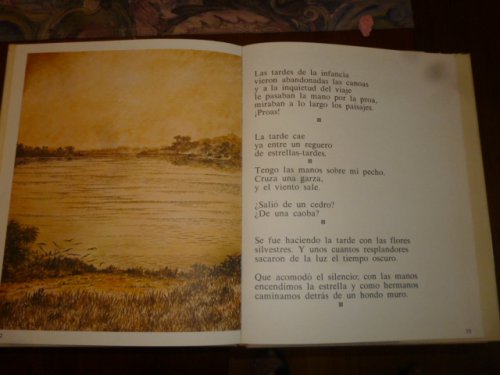 Voz y Luz del Tropico (Voice and Light of the Tropics)