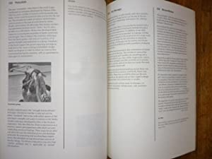 The Book of Highs: 250 Methods for Altering Your Consciousness without Drugs