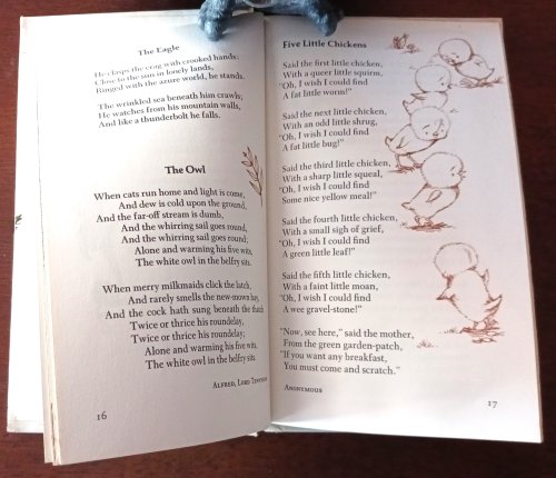 More Poems