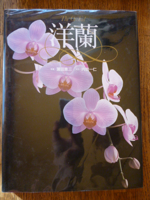 The Orchid