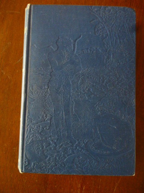 The Blue Poetry Book