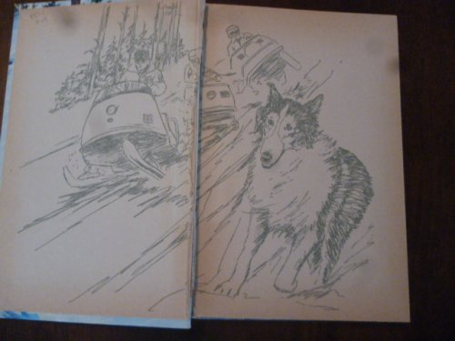 Lassie: Lost in the Snow