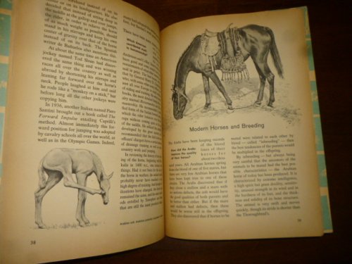 The How and Why Wonder Book of Horses