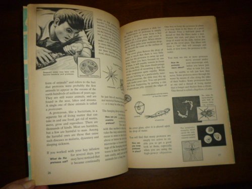 The How and Why Wonder Book of the Microscope and What You See