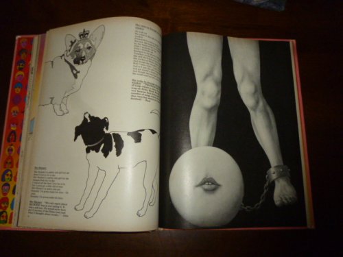 The Beatles Illustrated Lyrics 2