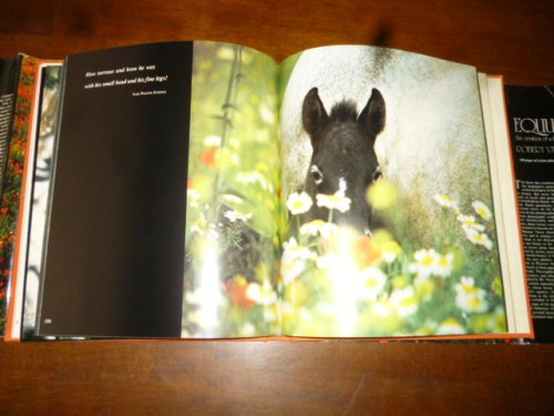 Equus: The Creation of a Horse