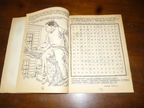 The Hardy Boys Adventure Activity Book #1