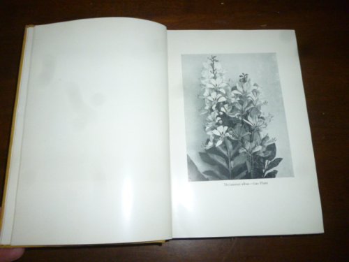 A Practical Handbook of Trees, Shrubs, Vines and Herbaceous Perennials