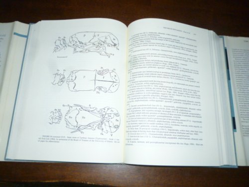 Phylogenetic Relationships of the Lizard Families: Essays Commemorating Charles L. Camp