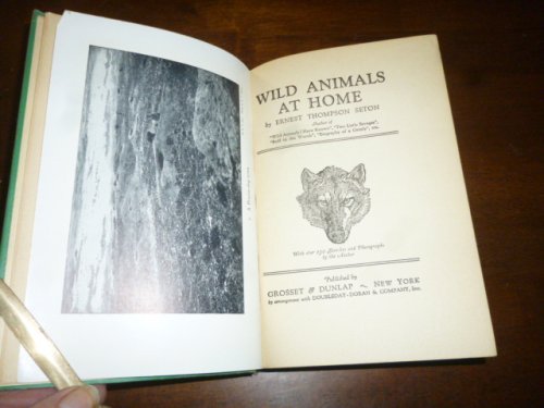 Wild Animals at Home