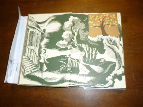 The Clue of the Black Flower (The Dana Girls Mystery Stories)