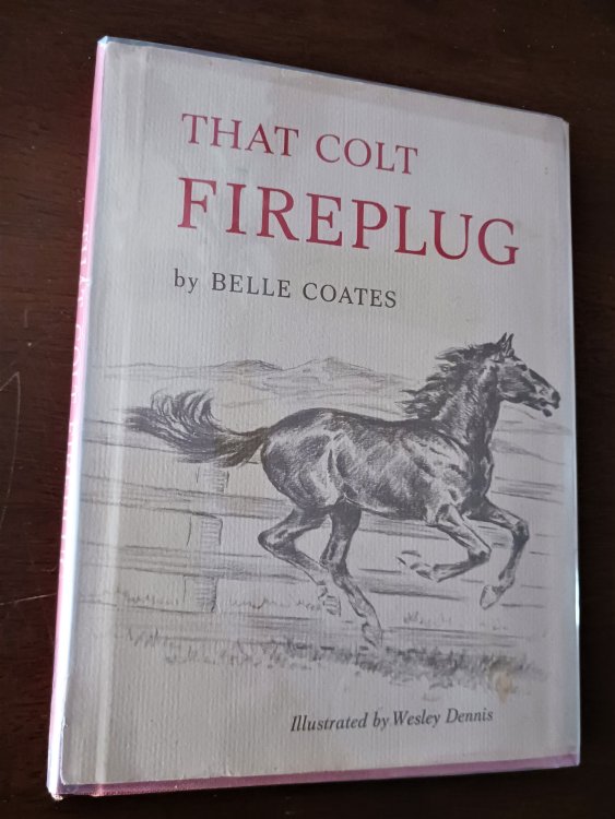 That Colt Fireplug
