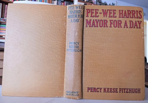 Pee-Wee Harris: Mayor for a Day