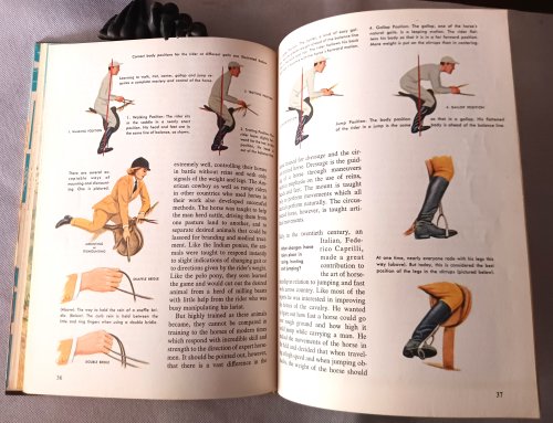 The How and Why Wonder Book of Horses (Deluxe Edition)