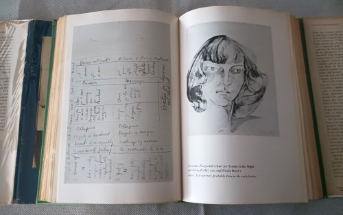 Image for Zelda: A Biography Zelda: A Biography