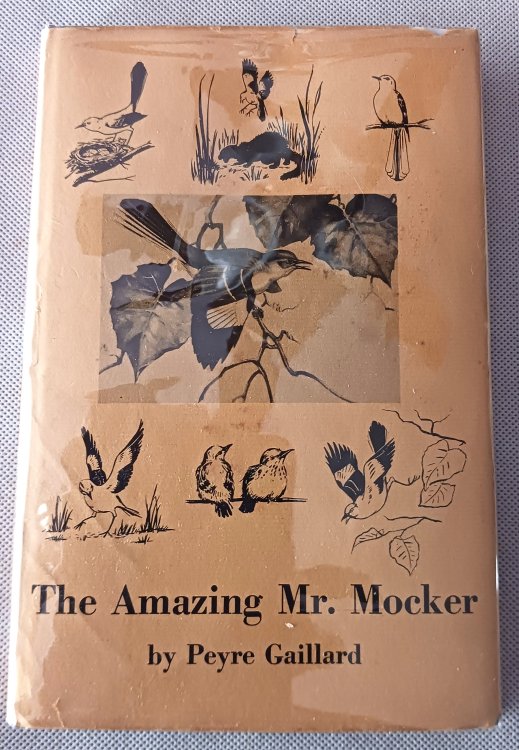 The Amazing Mr. Mocker