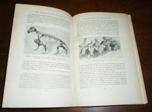 The Evolution of the Vertebral Column: A Contribution to the Study of Vertebrte Phylogeny