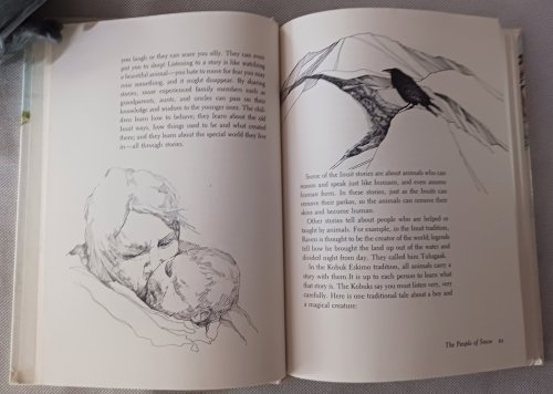 The Secret Language of Snow