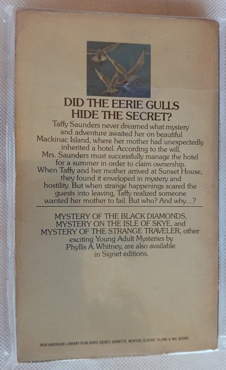 The Mystery of the Gulls (A Young Adult Mystery)