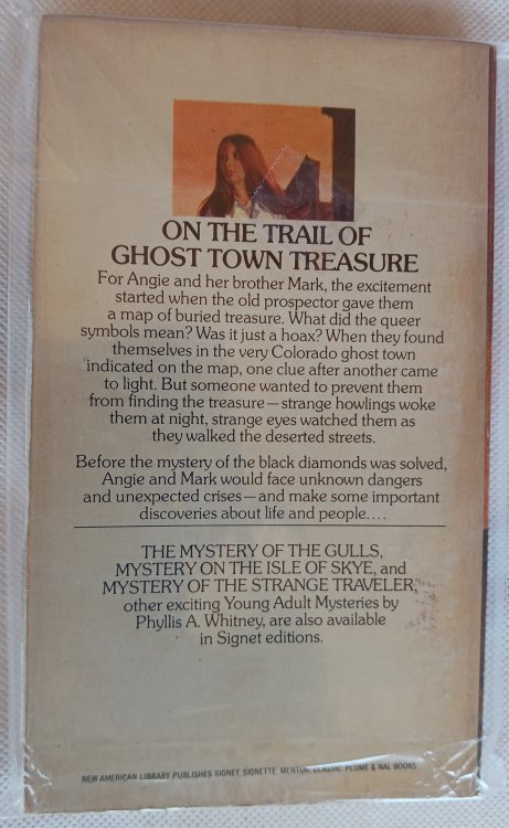 Mystery of the Black Diamonds (A Young Adult Mystery)