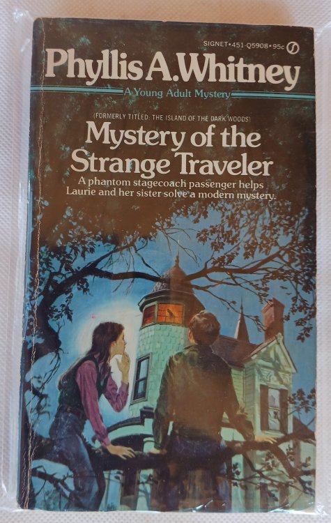 Mystery of the Strange Traveler (A Young Adult Mystery)