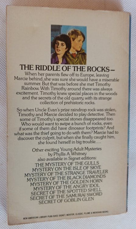 Secret of the Missing Footprint (A Young Adult Mystery)