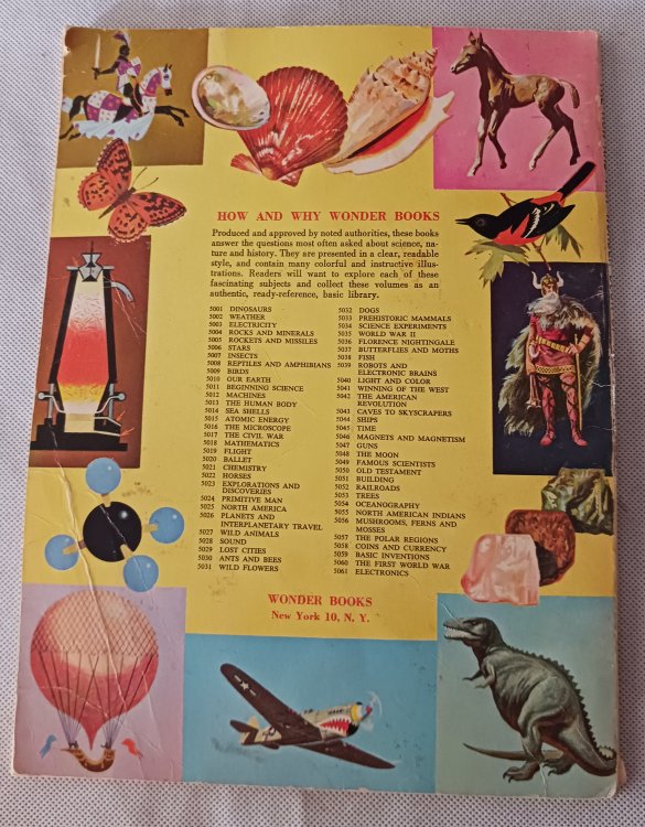 The How and Why Wonder Book of the Human Body
