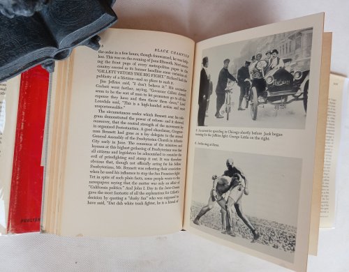 Black Champion: The Life and Times of Jack Johnson