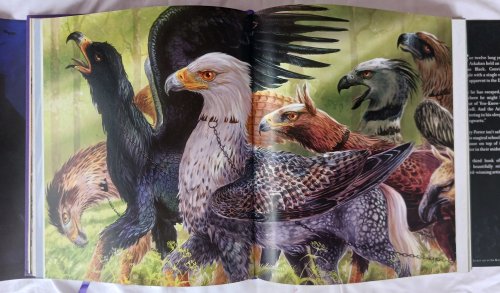 Image for Harry Potter and the Prisoner of Azkaban: The Illustrated Edition Harry Potter and the Prisoner of Azkaban: The Illustrated Edition