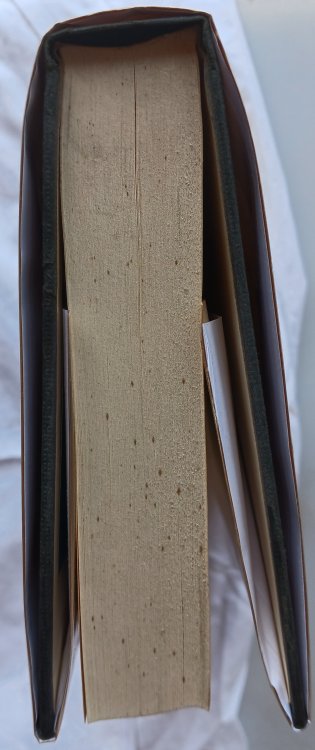 Image for All Things Bright and Beautiul All Things Bright and Beautiul