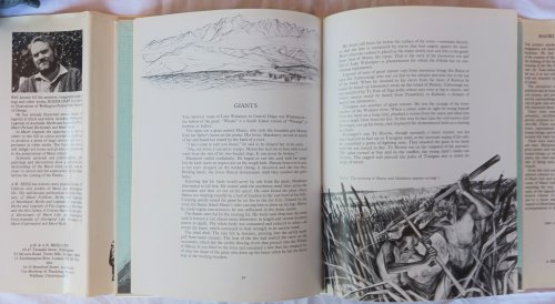 Image for Maori Legends Maori Legends