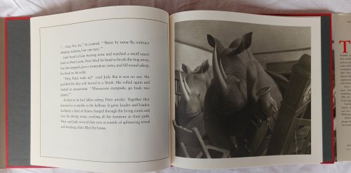 Jumanji (30th Anniverary Editioin)