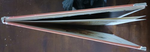 The Woodland Folk Meet the Elves