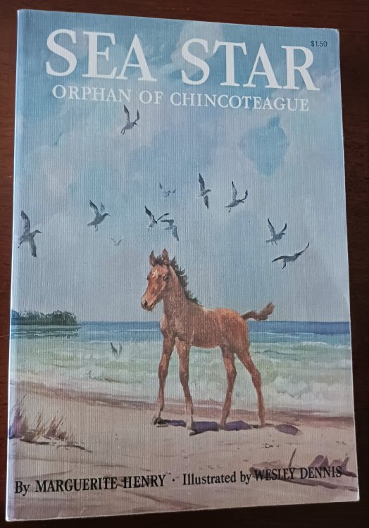 Sea Star: Orphan of Chincoteague