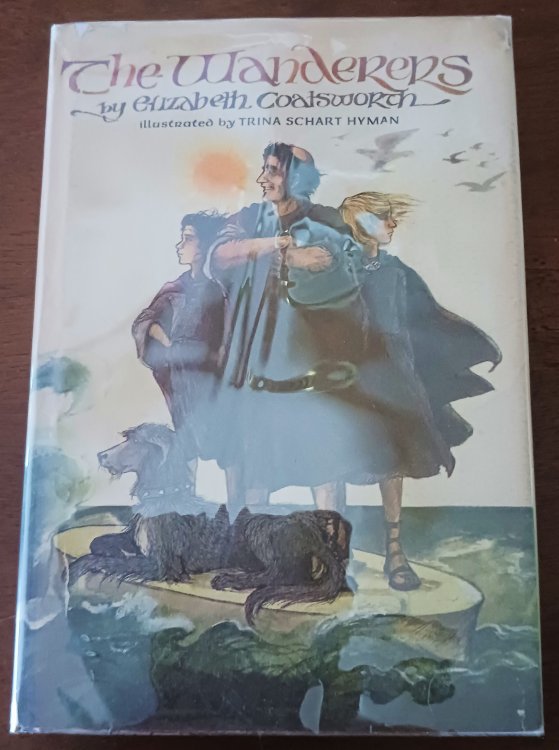 Image for The Wanderers The Wanderers