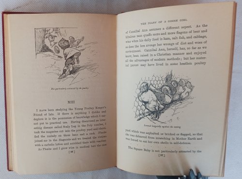 The Diary of a Goose Girl