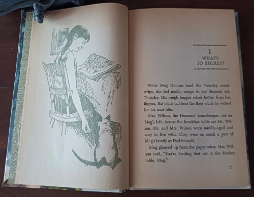 Image for Meg and the Disappearing Diamonds Meg and the Disappearing Diamonds