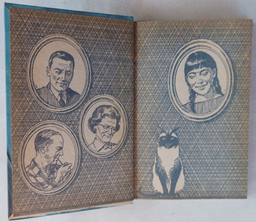 Image for Meg: The Treasure Nobody Saw Meg: The Treasure Nobody Saw