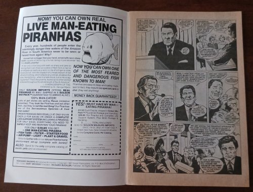 Reagan's Raiders #3: 