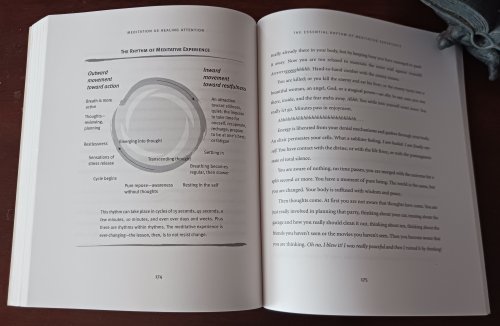 Whole Body Meditations: Igniting Your Natural Instinct to Heal