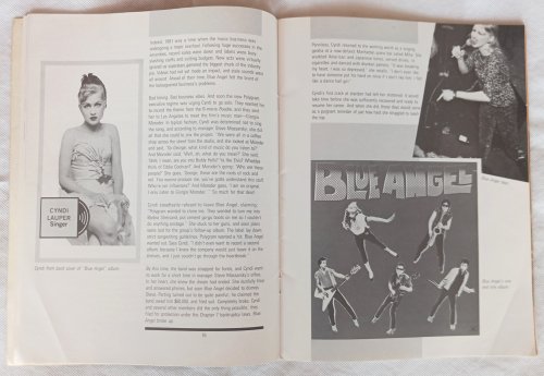 The Cyndi Lauper Scrapbook