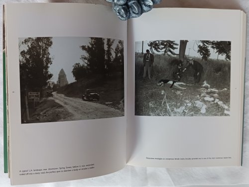 Image for Sins of the City: The Real Los Angeles Noir Sins of the City: The Real Los Angeles Noir