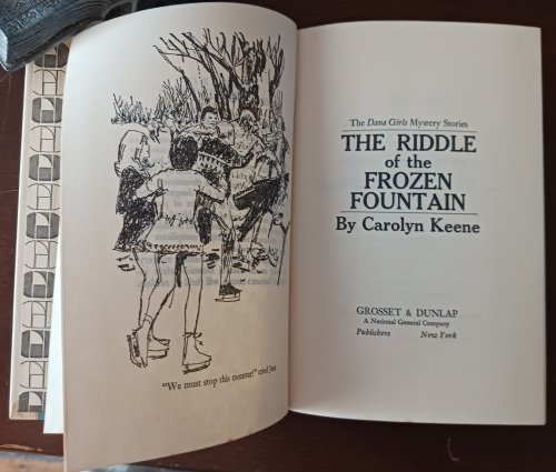 The Riddle of the Frozen Fountain (The Dana Girls Mystery Stories)