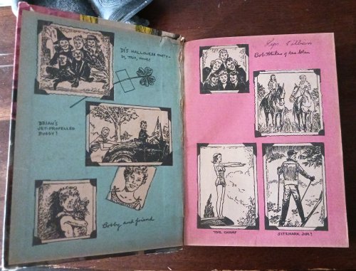 Trixie Belden and the Mysterious Visitor