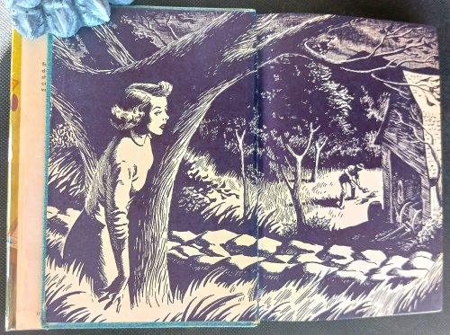 The Bungalow Mystery (Nancy Drew Mystery Stories)