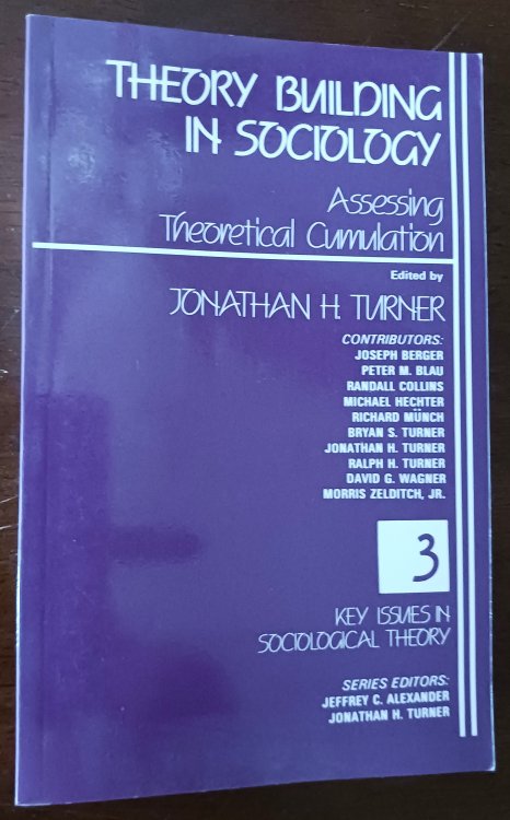 Theory Building in Sociology: Assessing Theoretical Cumulation (Key Issues in Sociological Theory #3)