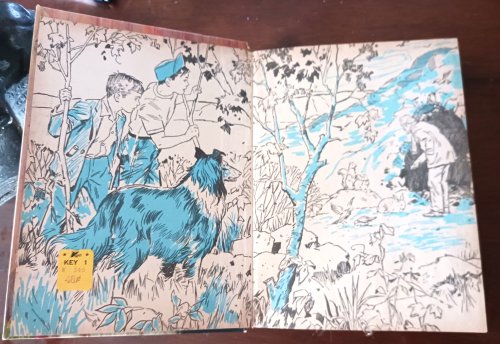 Lassie: Forbidden Valley