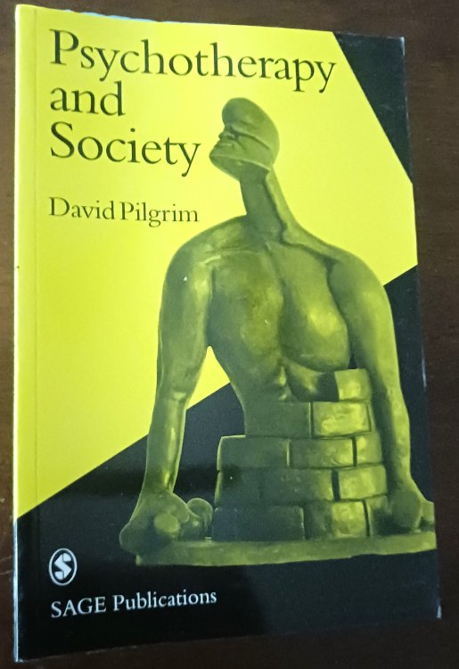 Psychotherapy and Society (Perspectives on Psychotherapy series)