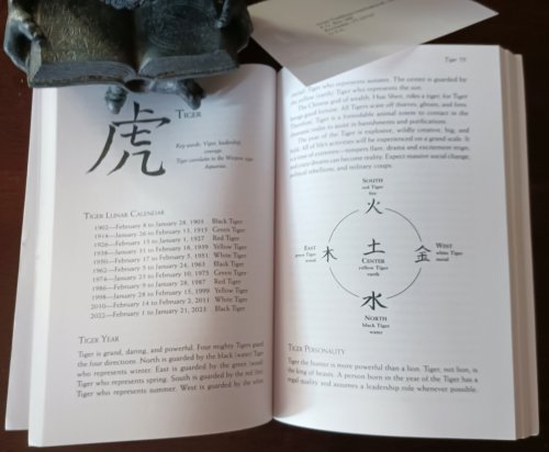 Taoist Astrology: A Handbook of the Authentic Chinese Tradition