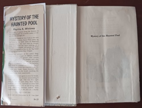 Mystery of the Haunted Pool (A Young Adult Mystery)